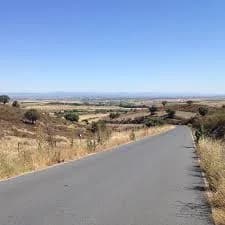 Holguera