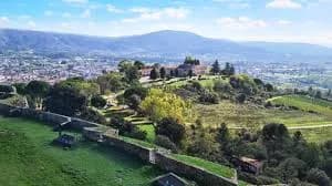 Monterrei