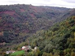 Teixeira, A