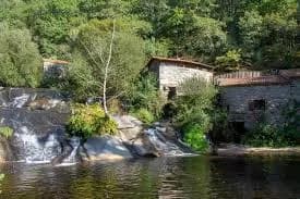 Barro