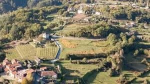 Cañiza (a)