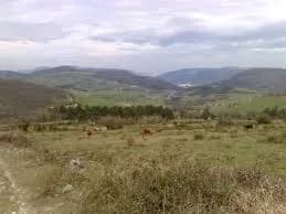 Agiñaga