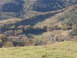 Erbi