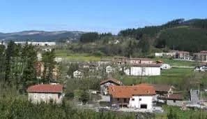 Bedia