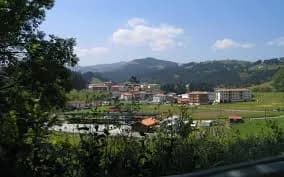 Berriatua