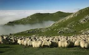 Idiazabal
