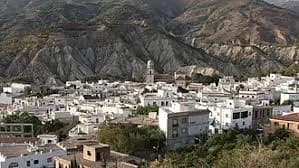 Alcolea