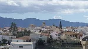Antas