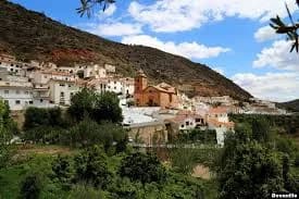 Laroya