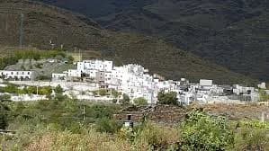 Velefique
