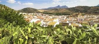 Algodonales