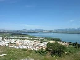 Bornos