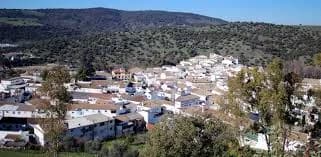 El Bosque