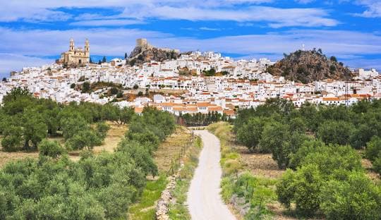 Olvera