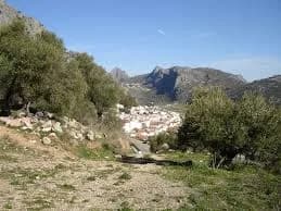 Benaojan
