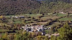 Bisaurri