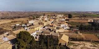 Bárboles