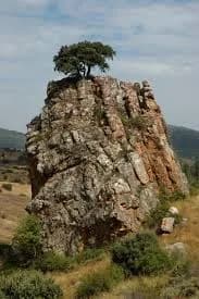 Fombuena