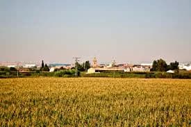 Grisén
