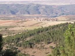 Orcajo