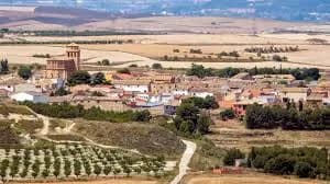 Perdiguera