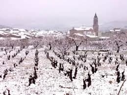 Villafranca De Ebro