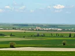 Meneses De Campos