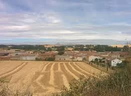Micieces De Ojeda