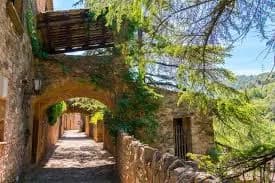 Mura