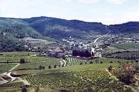 Pontones