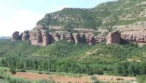 Riells Del Fai