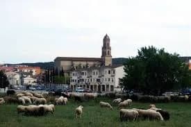 Torrelles De Foix
