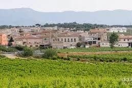 Capmany