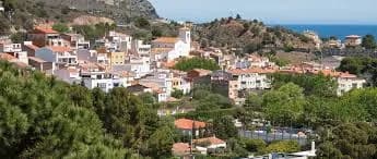 Colera
