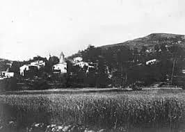 Pinya