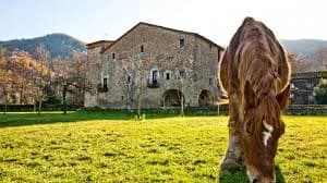 Vall De Bianya