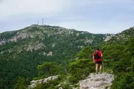 Mont -ral