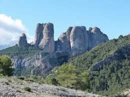 Roques