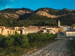 Alfafara