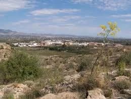 San Isidro