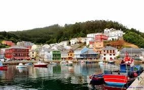 Ortigueira