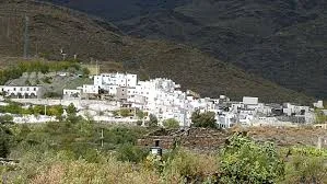 Velefique