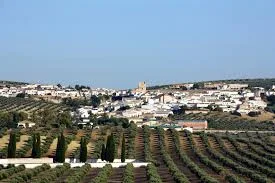 Higuera De Calatrava