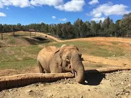 El Castillo De Las Guardas