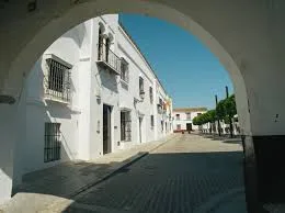 Olivares