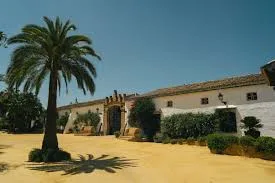 Villanueva Del Ariscal