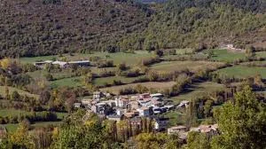 Bisaurri