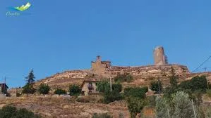 Viacamp Litera