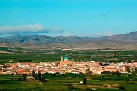 La Almunia De Doña Godina