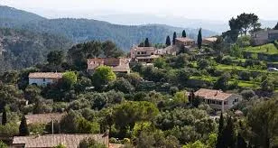 Puigpunyent (galilea)